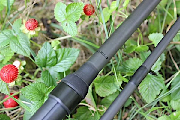 Ashima FFX-D - Buy 2, Get 1 Free 3 Ashima FFX-D - Buy 2, Get 1 Free