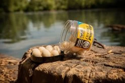 Solar Pop-Ups Dairy Cream