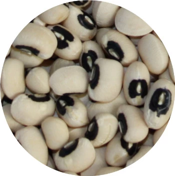 Vivani Particles 5 Kg 7 Vivani Particles 5 Kg - Image 5