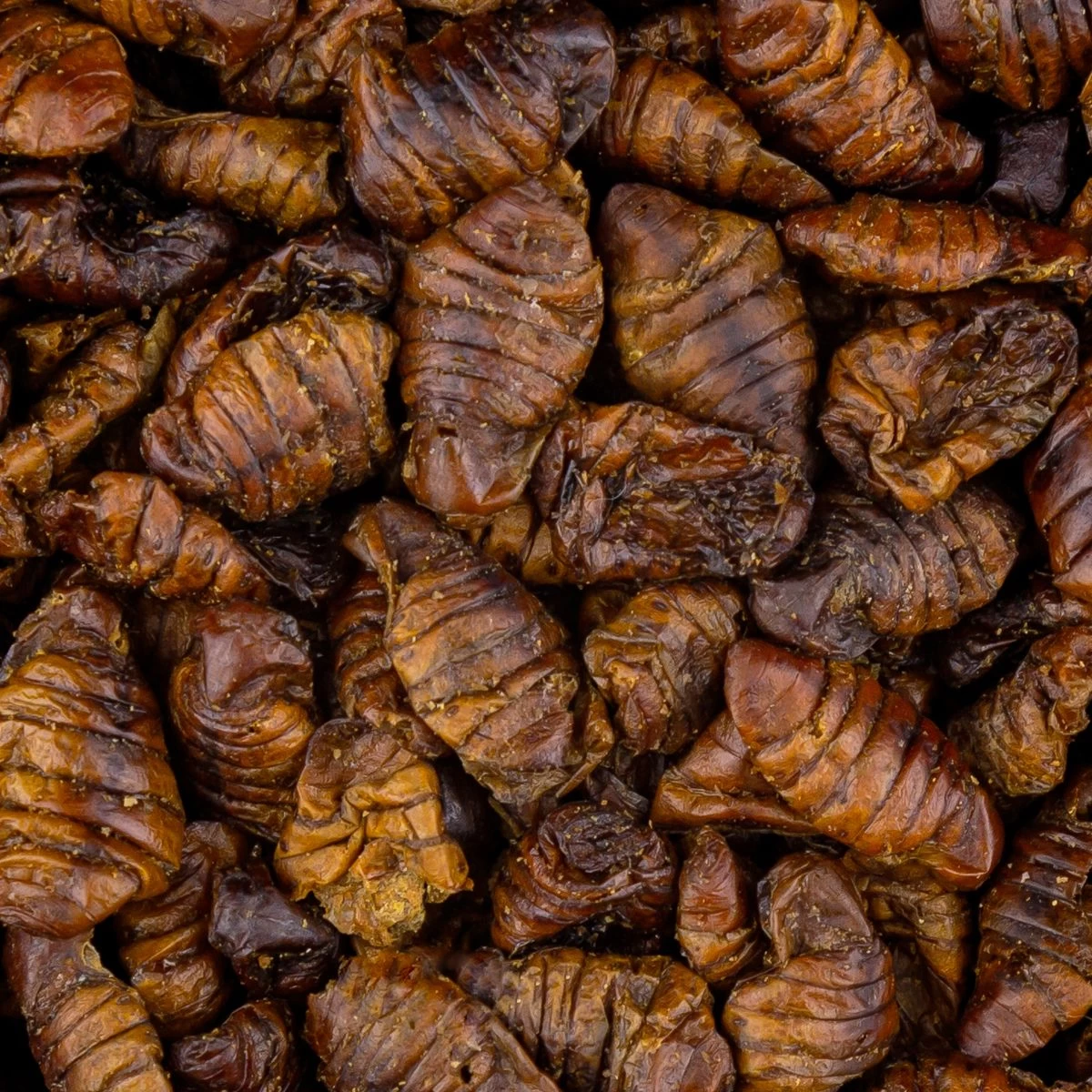 Vivani Dried Silkworms - 750 Gram 4 Vivani Dried Silkworms - 750 Gram - Image 2