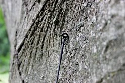 Ashima FFX-D -Ultimate Store 8272231862719014