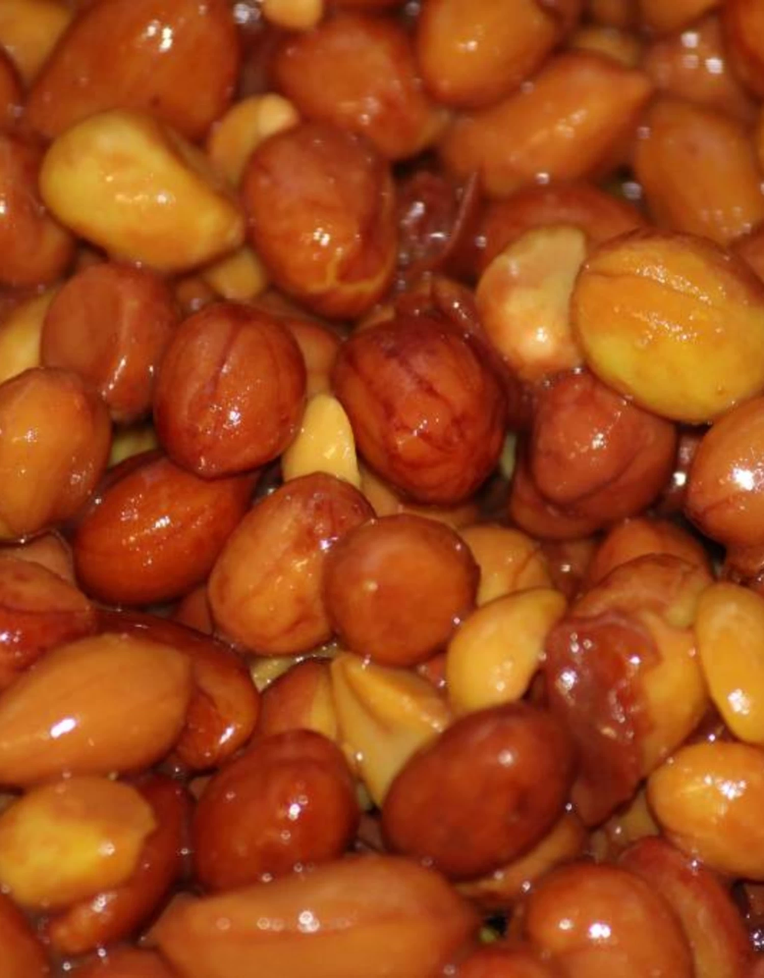 Baitworld Ready To Fish 2L (pot) Redskin Pinda's 5 Baitworld Ready To Fish 2L (pot) Redskin Pinda's - Image 3