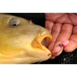 Korda Pop Up Maize -Ultimate Store e859bc8acec1a57c